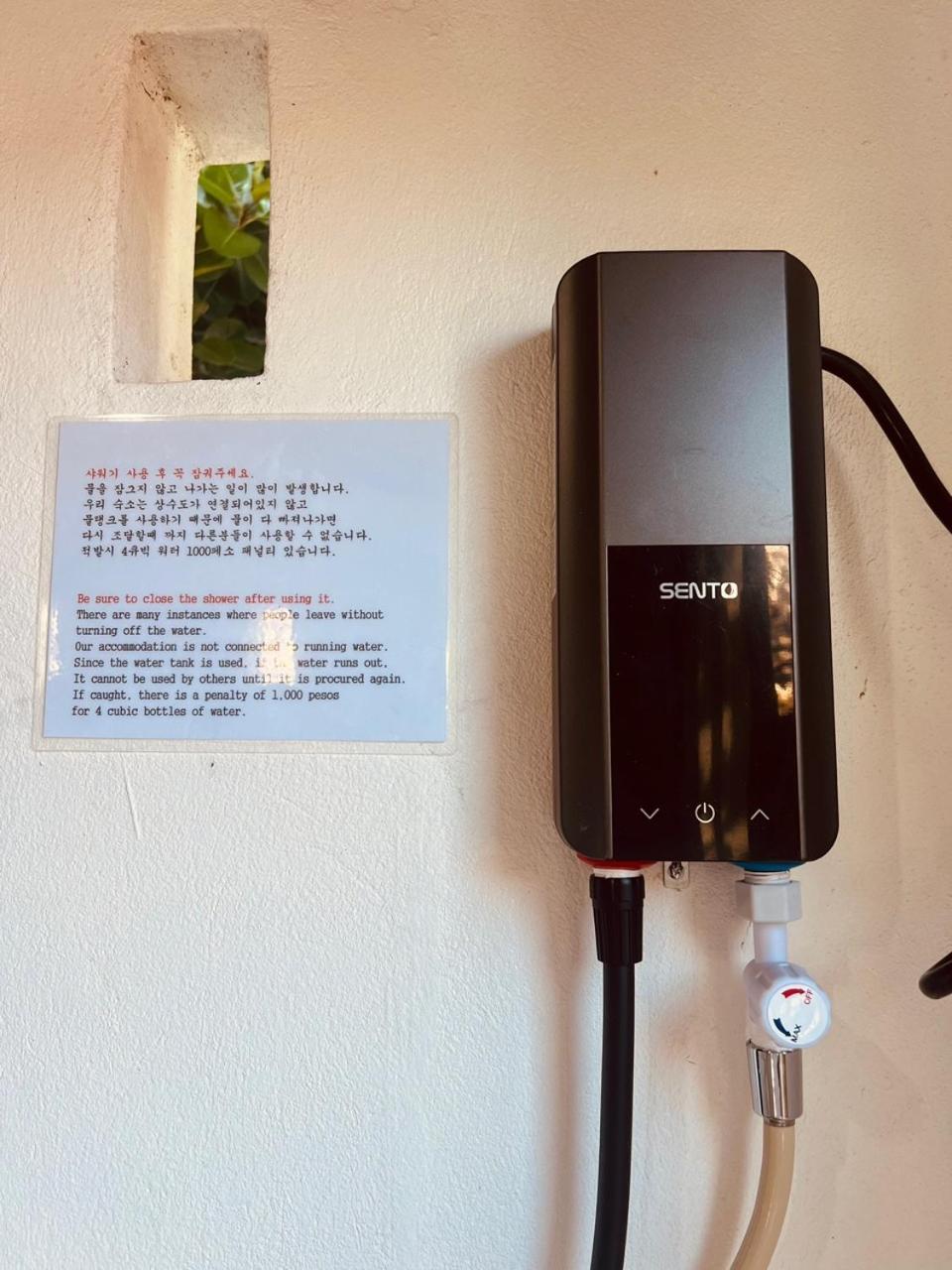 Sunset View Hostel - 써니사이드 모알보알 게스트 하우스 Moalboal Exterior photo